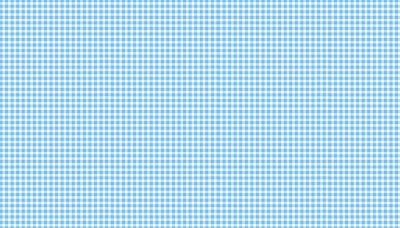 920_b4_gingham