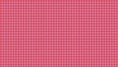 920_r6_gingham