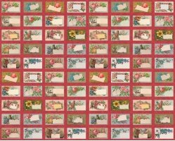 il_794xn_2367742928_mnvl