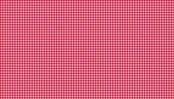 920_r6_gingham