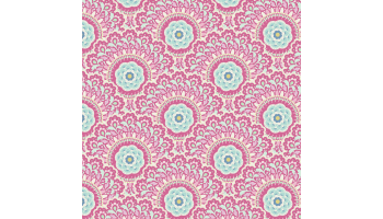 td481615_cabbage_flower_purple