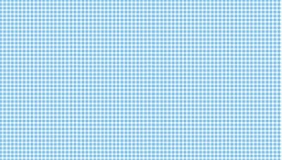 920_b4_gingham