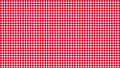 920_r6_gingham