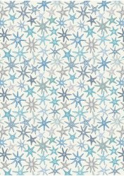 a829_1-starfishsmaller