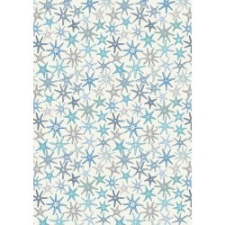 a829_1-starfishsmaller