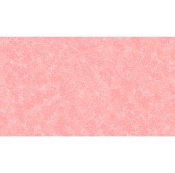 2800_p31_spraytime