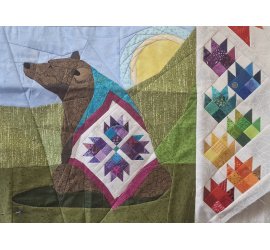 13a__13b_euston_kodiac_bear_hb1