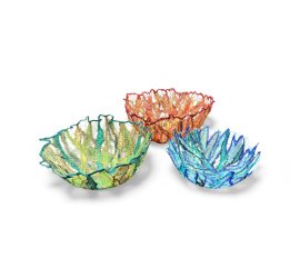 photoroom_20251126_194622