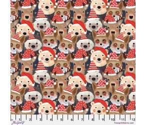 pwmc020_xnavy__13984