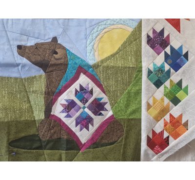 13a__13b_euston_kodiac_bear_hb1