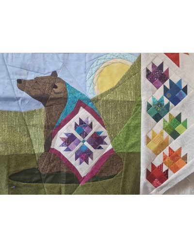 13a__13b_euston_kodiac_bear_hb1